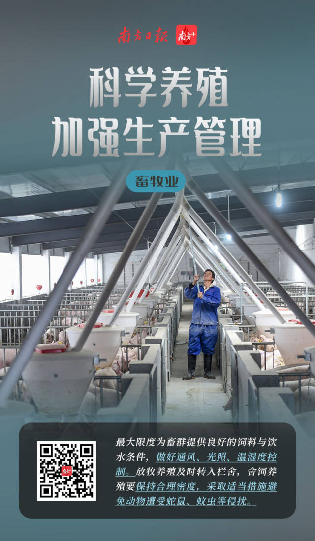 博彩论坛排名