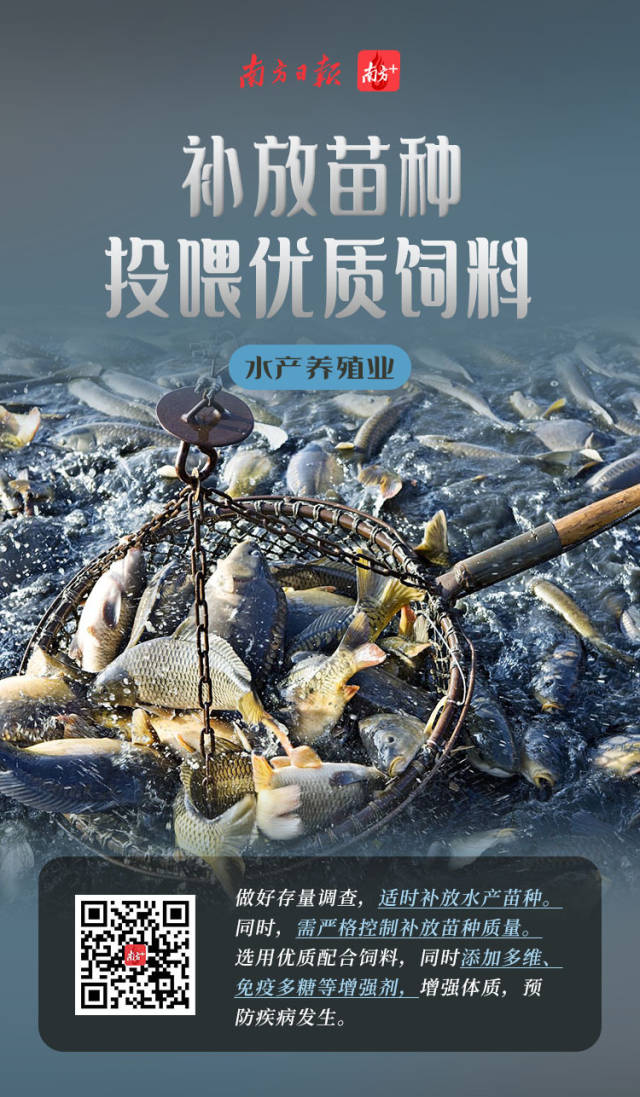 博彩论坛排名