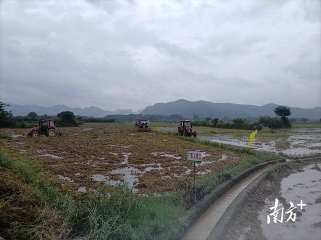 博彩论坛排名