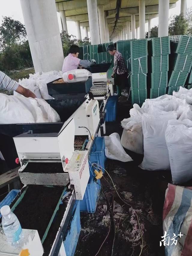 博彩论坛排名