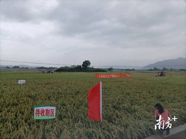 博彩论坛排名