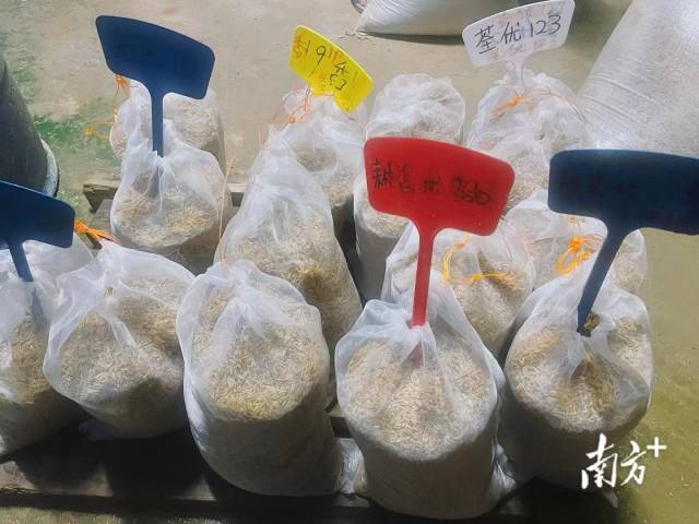 博彩论坛排名