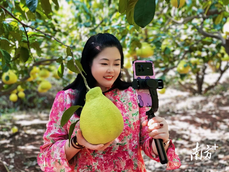 已编辑图片