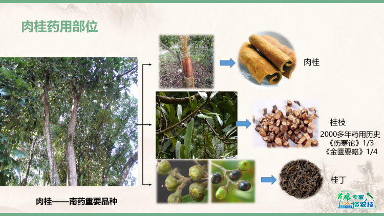 图片10.png