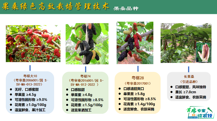图片4.png