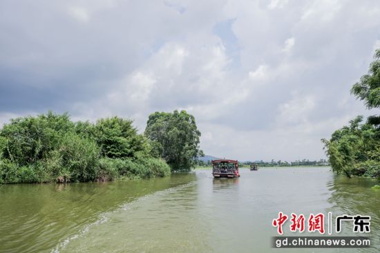 嘉宾们乘坐当地特色小艇，游览古劳水乡。 作者 广东省人民政府地方志办公室 供图