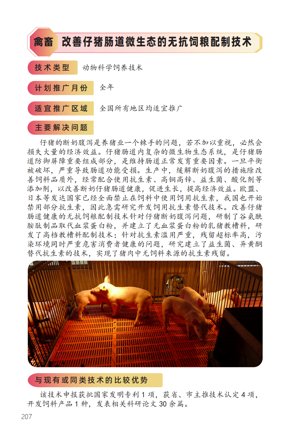 改善仔猪肠道微生态的无抗饲粮配制技术-1.png