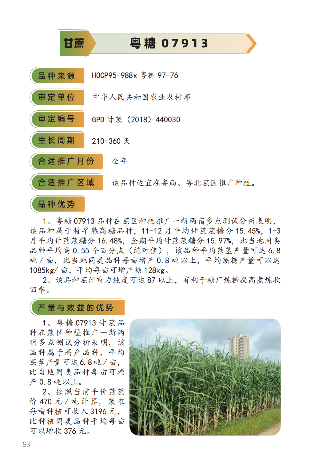 粤糖 07913-1.png