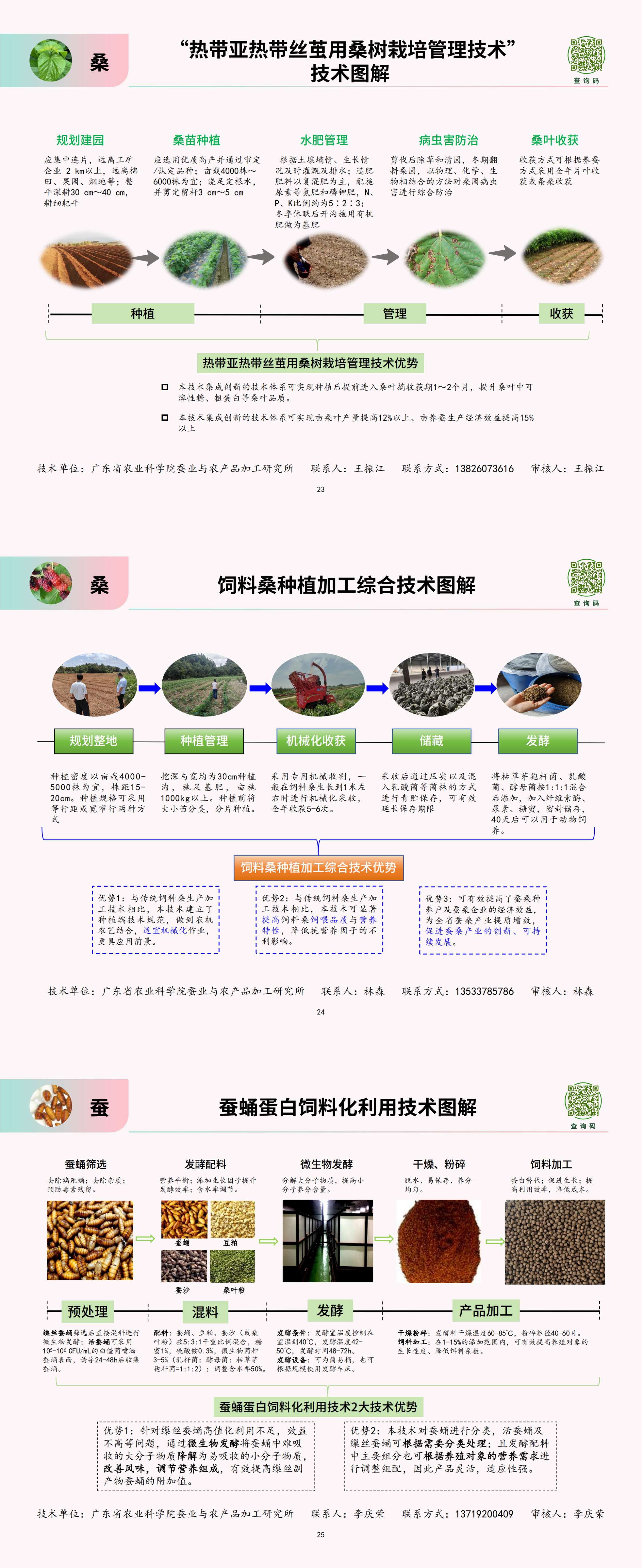 (蚕桑)主推技术2.png