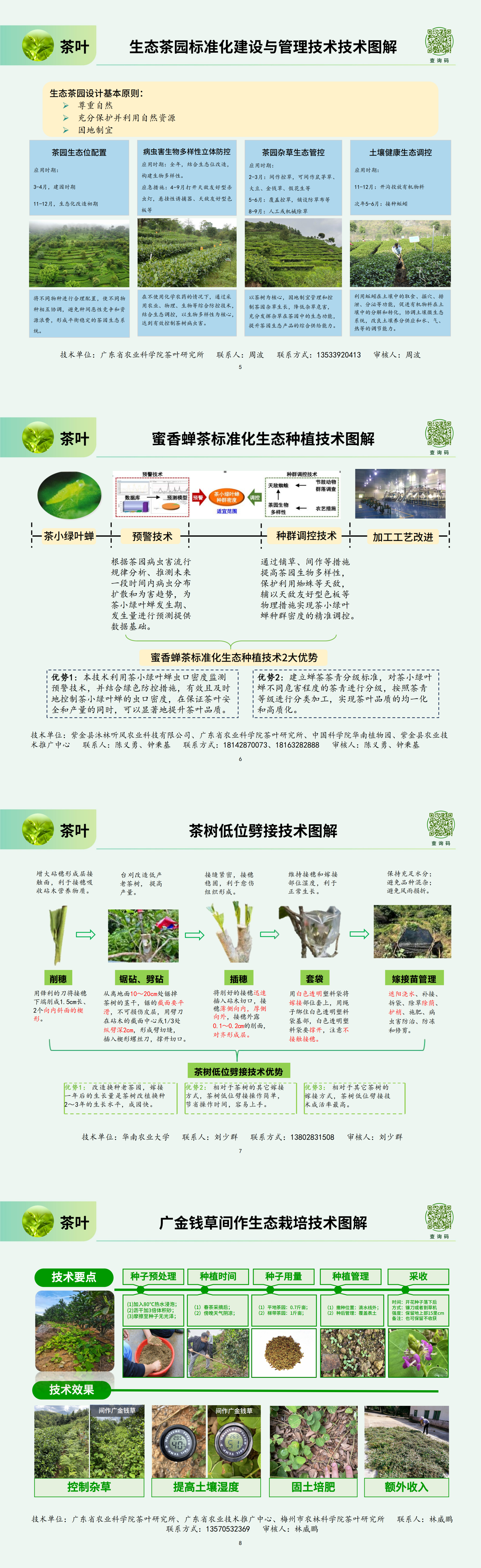(茶叶)主推技术2.png