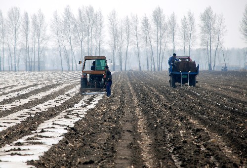 4月17日,黑龙江省双城市东利村农民在应用玉米保护地通透密植栽培技术播种玉米。 黑龙江省是我国最大的商品粮生产基地,2008年以来,全省各地克服严重干旱、农资价格上涨等不利因素,努力提高春耕生产的标准和质量。目前,该省的春耕生产已经全面展开,玉米、小麦等主要作物播种面积已完成275万亩,播种进度快于上年同期。 新华社记者 孙英威 摄