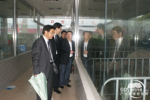 省农业厅党组成员、巡视员陈福林,农业部畜牧业司巡视员陈伟生等相关领导参观了博览会