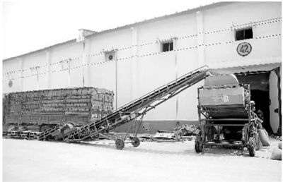 我国每年粮食产后损失超1000亿斤 粮食:向节约要安全